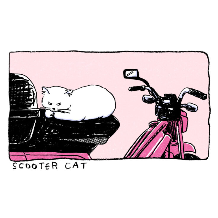 ONE SCENE : Scooter Cat（スクーターの猫）